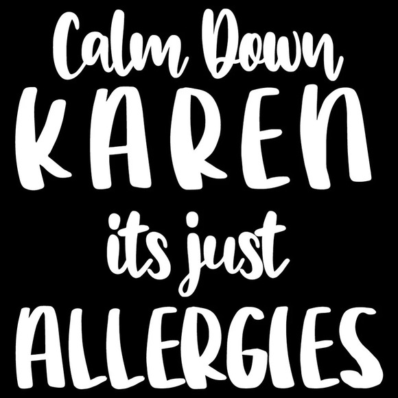 NEW Gildan Unisex “Calm Down Karen Just Allergies” Short Sleeve T Shirt - Picture 4 of 5
